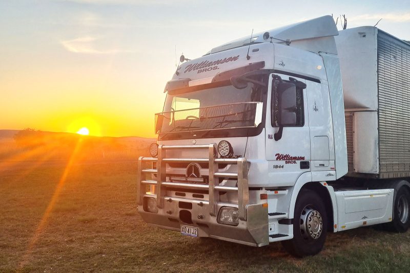 Williamson_furniture_removals Williamson_furniture_removals